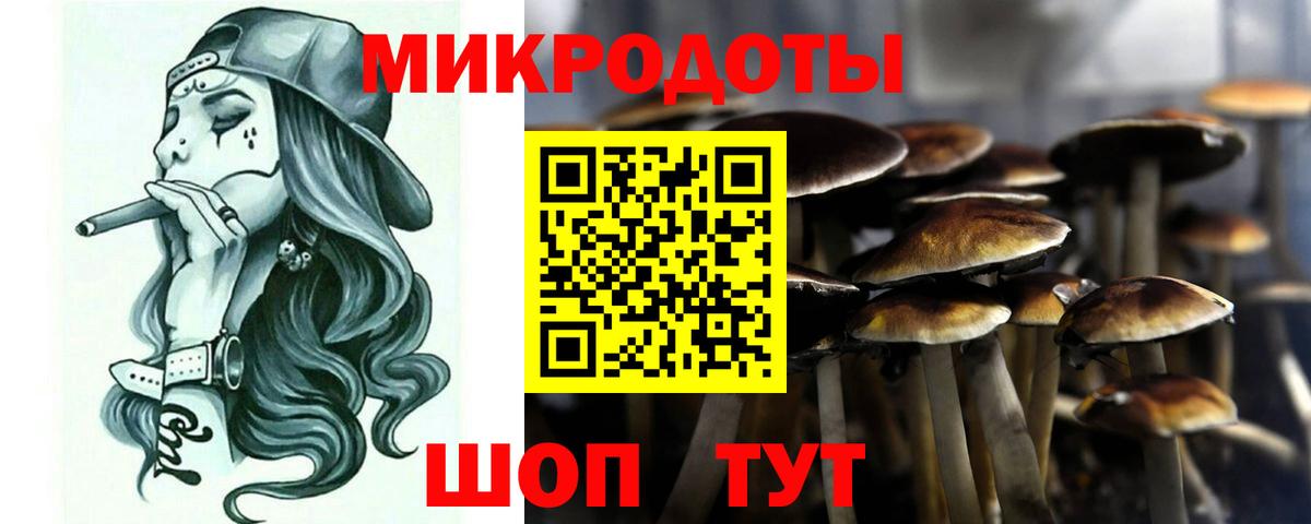 Галлюциногенные грибы Cubensis  Галлюциногенные грибы Psilocybine cubensis  Вход с VPN  Бердск 